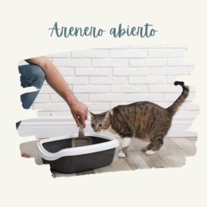 higiene de gatos arenero abierto