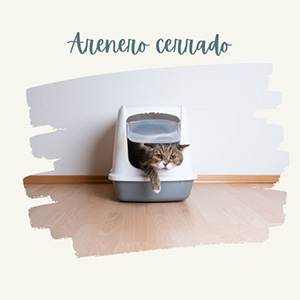 higiene de gatos arenero cerrado