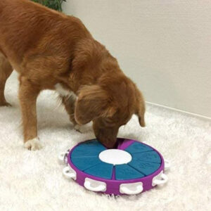 dog twister juguete interactivo para perro