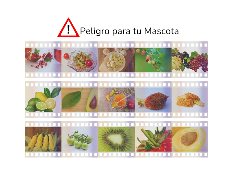 fruta peligrosa para los gatos