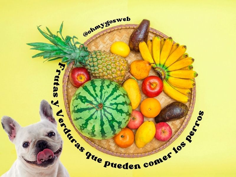 Frutas y Verduras que pueden comer los perros