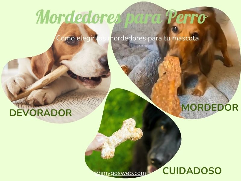 como elegir el mejor mordedor para perro oh my gos