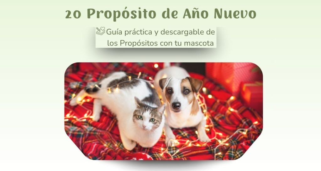 20 propositos de año nuevo con perro o gato blog oh my gos