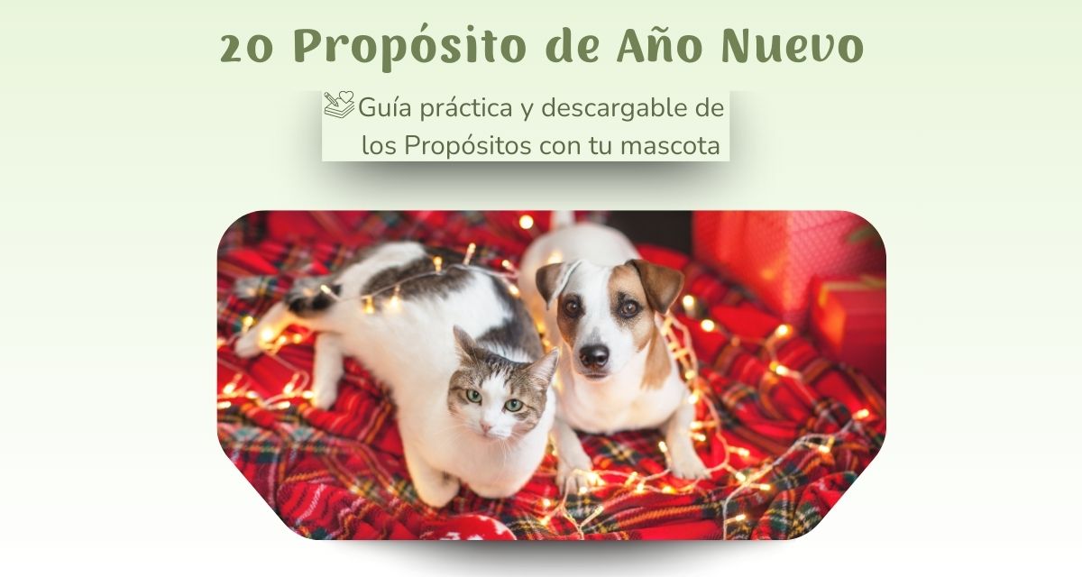 20 propositos de año nuevo con perro o gato blog oh my gos