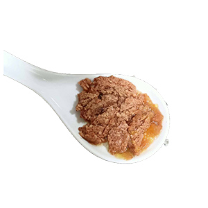 carne terra canis comida humeda