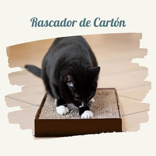 ¿Cuáles son los mejores rascadores para gatos? rascador de carton