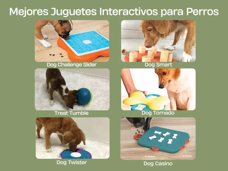 Mejores juguetes perros online