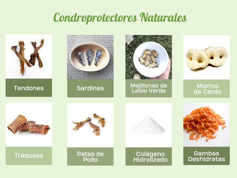 Condroprotectores para perros Naturales Oh My Gos