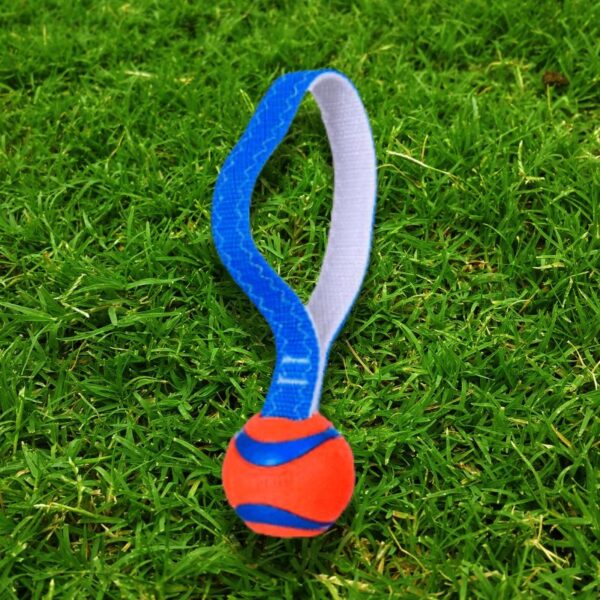 Chuckit Ultra Tug Pelota con asa para perros oh my gos
