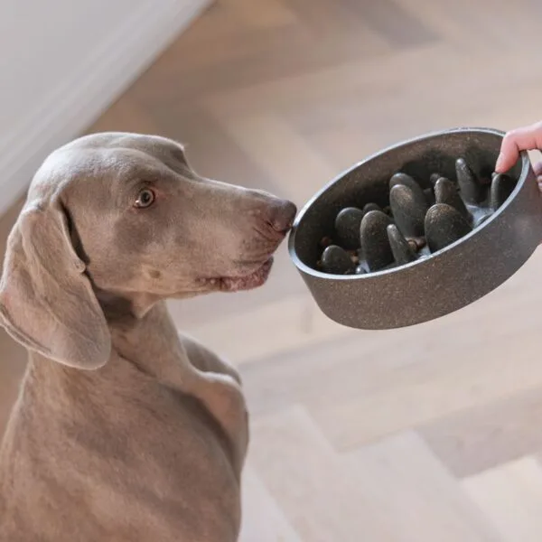 Comedero Antiansiedad para Perros Bambú nayeco eco oh my gos