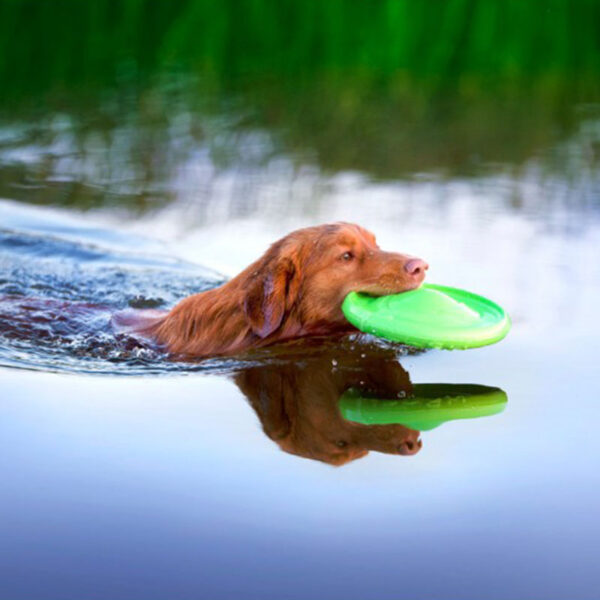 Frisbee flyber puller frisbee para perro que flota ohmygos