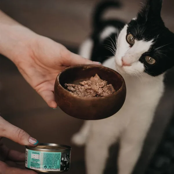 Retorn Gatos Comida Húmeda Completa 80g - Imagen 9