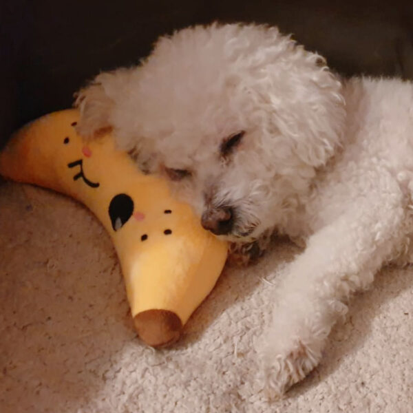 platano de peluche