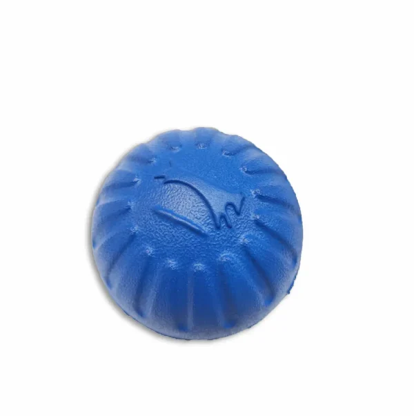 Pelota perro extra resistente azul