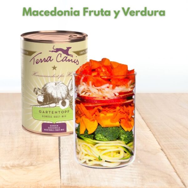 Terra Canis casserole fruta y verdura oh my gos