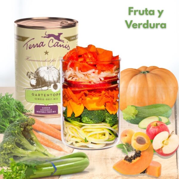 Terra Canis casserole fruta y verdura ohmygosweb