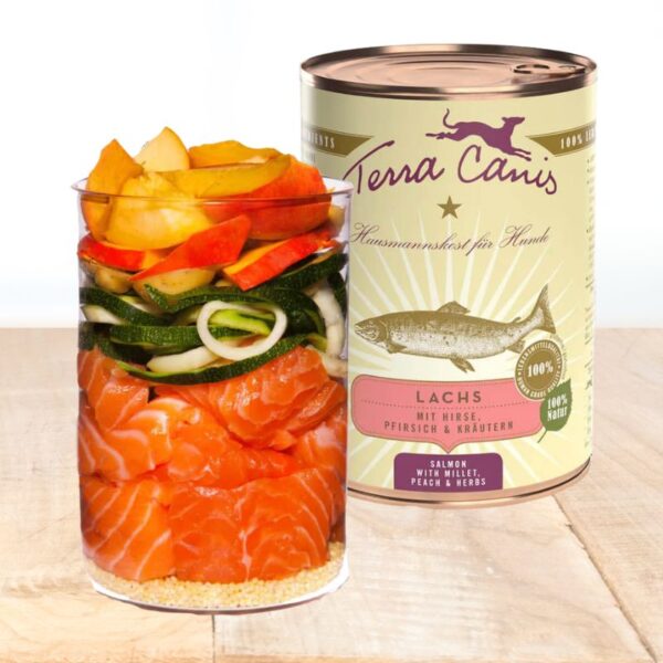 Terra Canis salmon comida para perro oh my gos