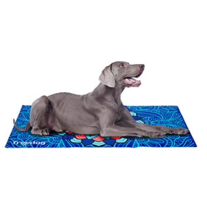 Cama Refrescante Perro Mandala