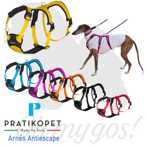 arnes antifuga perro pratiko pet Pratikopet arnes antiescape compra ohmygosweb.com