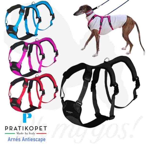 arnes antifuga perro pratiko pet Pratikopet arnes antiescape compra ohmygosweb.com