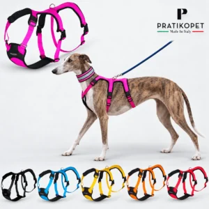 arnes antifuga perro pratiko pet Pratikopet arnes antiescape compra ohmygosweb.com