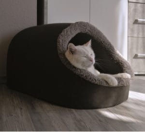 Cama para Gato Cueva Marron