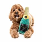 champagne para perro fuzzyard peluche oh my gos