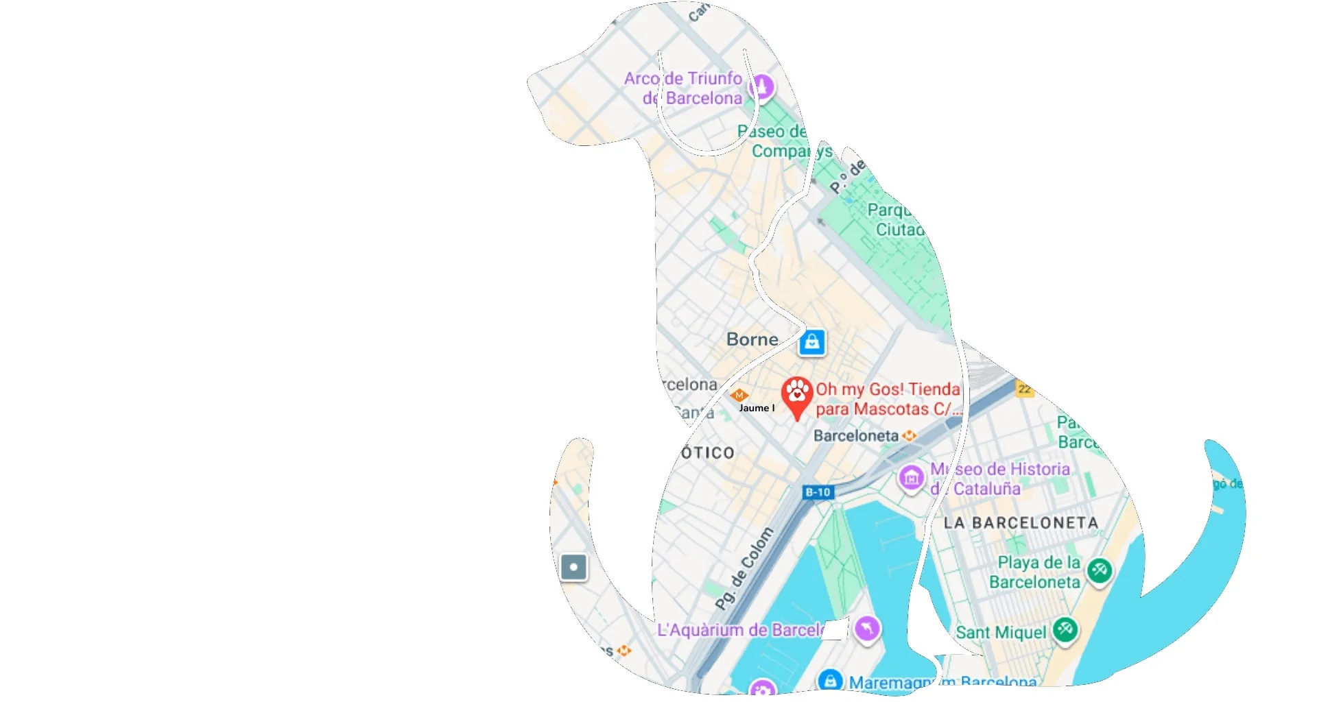 como llegar a peluqueria canina barcelona tienda mascotas cerca de mi oh my gos barcelona botiga gossos i gats