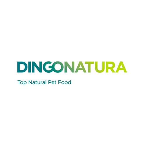 Dingonatura