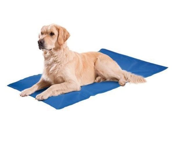 Alfombra Refrescante Cool Mat Freedog