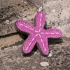 Estrella de Mar Juguete Ecológico G&W