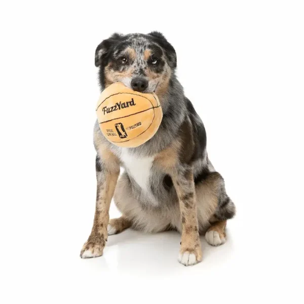 fuzz yard spaldog pelota basket perro