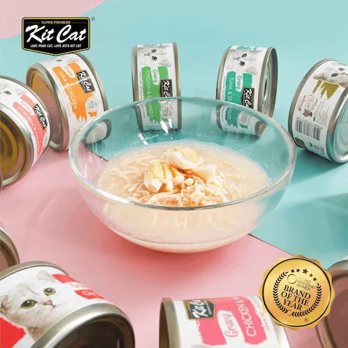 kit cat gato comida humeda gravy comprar ohmygosweb