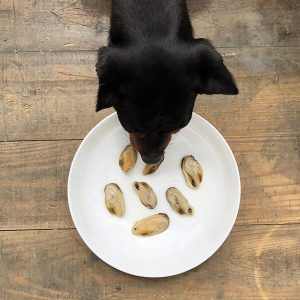 mejillones de labio verde al natural