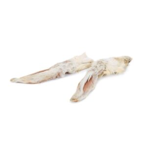 orejas de conejo para perros