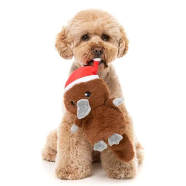 perro navideño con peluche ornitorinco fuzzyard Oh My Gos web