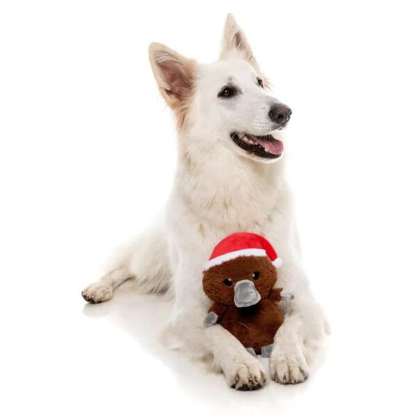 perro navideño con peluche ornitorinco fuzzyard oh my gos