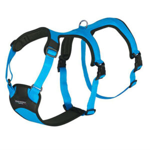 arnes antiescape pratiko pet