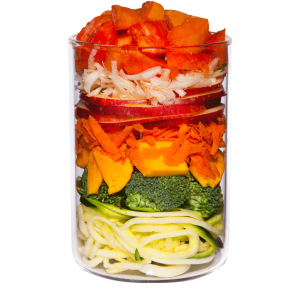 terra canis comida vegetariana para perros