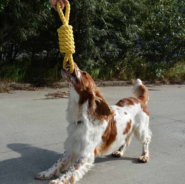 cuerda para perros