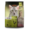 pienso leonardo gatos