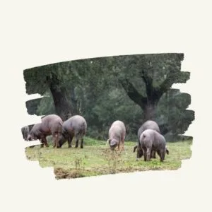proteccion de animales de granja