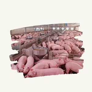 ley proteccion animal españa - Design (7)