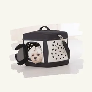 transportin para viajar con mascota