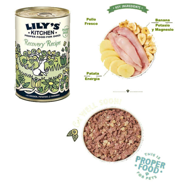 Lily kitchen RECOVERY lily's kitchen comida para cachorro de POLLO PATATA Y PLATANO oh my gos