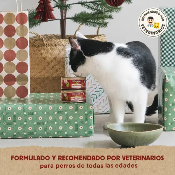 Wild Balance Navidad Comida Cocinada Gatos