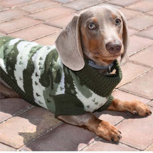 jersey perro pequeño-nayeco ecoline-nature ohmygosweb
