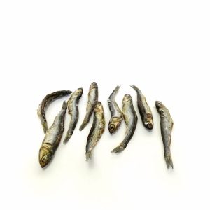 Boquerones para perros snacks naturales mr bones