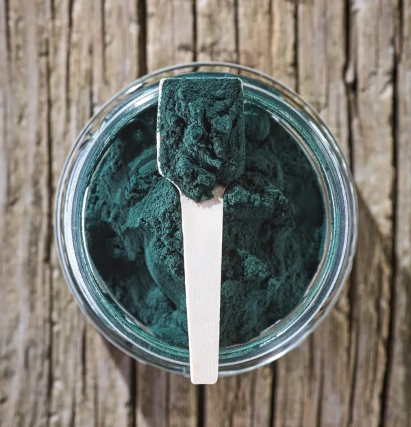 espirulina para gatos y perros mr bones ohmygosweb.com
