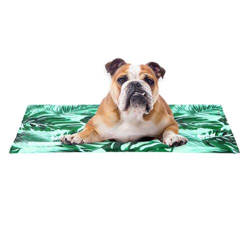 mantar refrescante para perro